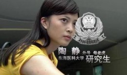 警花在线观看,揭秘英勇女警的智慧与勇气