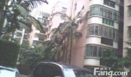 九龙小区爆料视频播放,揭秘社区生活点滴