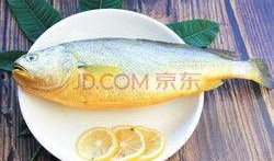 黄花鱼爆料视频,幕后真相大曝光